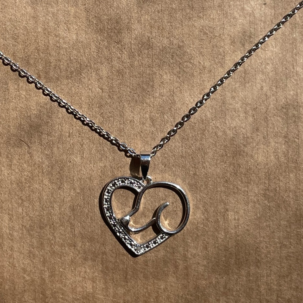 Dog Heart Pendant and Chain.